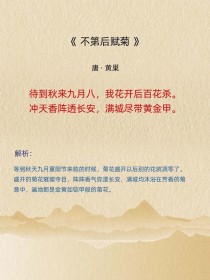 古诗词中黄花意向有哪些？