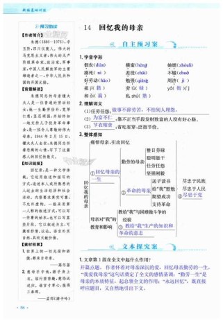 七年级语文无忧无虑网，资源真能无忧无虑？