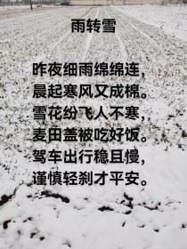 古诗词如何描摹风寒刺骨之境？