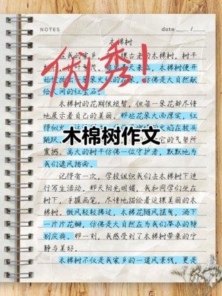 小树成长记，中考作文如何写出新意？