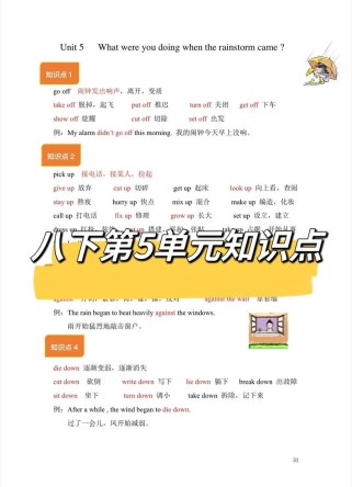 七下英语第五单元知识点有哪些核心考点？