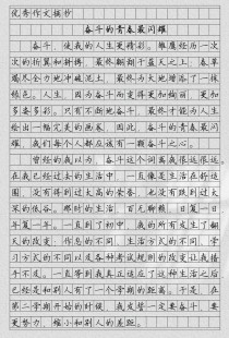 《努力的青春》作文