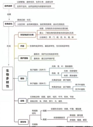 八上生物复习，重点难点如何高效突破？