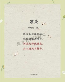 陕西近十年中考古诗赏析考了哪些重点？