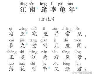 江南逢李龟年诗题暗藏何玄机？