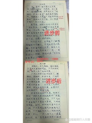 上三年级你有哪些进步