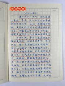 走过2025作文