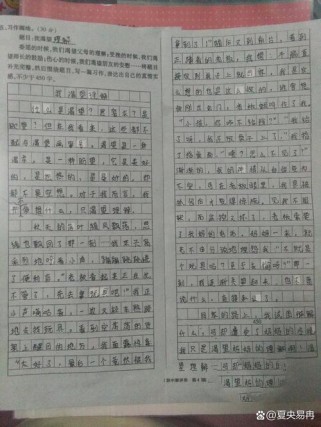 为何渴望理解的我，作文里藏着怎样的心声？