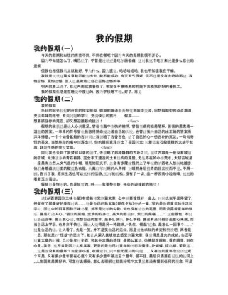 我的暑假作文初中