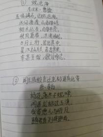 初中古诗文默写，如何确保一字不差？