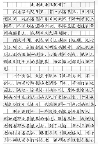 何为花中第一流？作文如何称第一流？