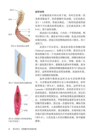 八年级人教版生物上册