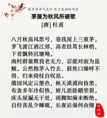 秋风破茅屋，诗圣忧何深？
