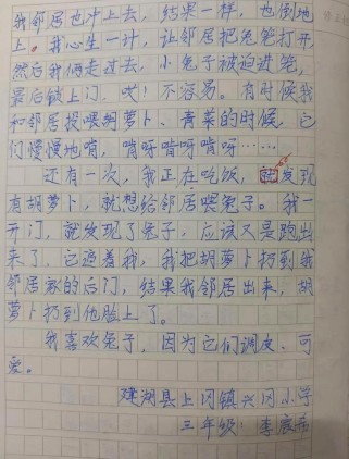 如何有效辅导学生写出好作文？
