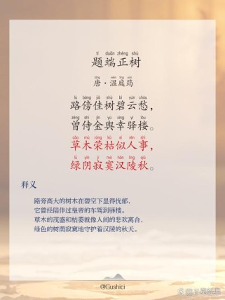 树古诗主旨与情感解析是什么？