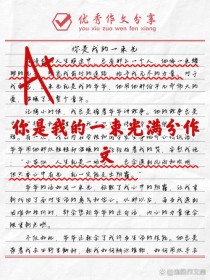你是我的作文题目