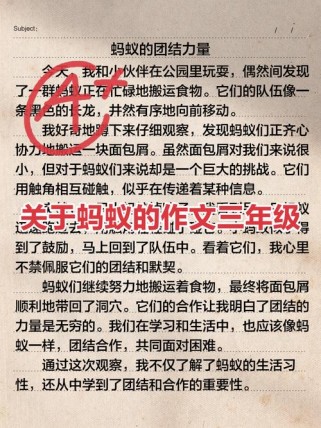 大海怎给蚂蚁写信？