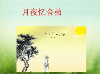 初中语文古诗泡ppt