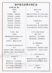 2025中考古诗文阅读考什么？