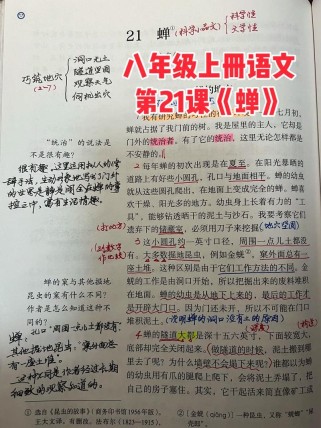 八年级上册语文第21课讲了什么内容？