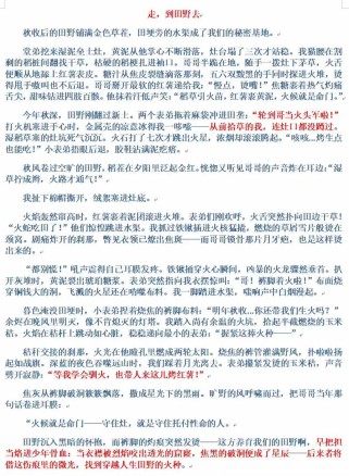 广西2025作文题会是什么？