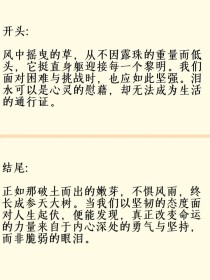生活不相信眼泪，那该相信什么？