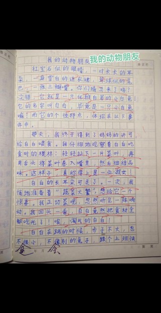 终于等到你，初二作文藏着什么故事？