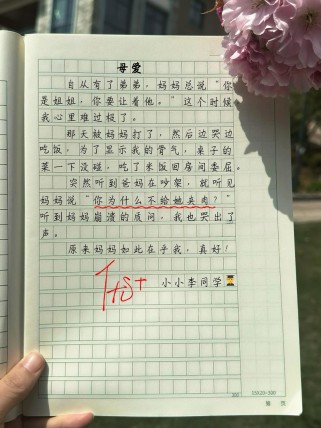 新颖母爱素材，如何写出独特情感共鸣？