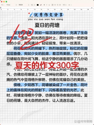 2025夏天作文，藏着什么未说的心事？