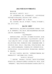 种子如何孕育生命的奇迹？