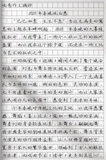 2025作文大全有哪些精华内容与实用技巧？