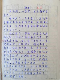 脚踏一方土 作文