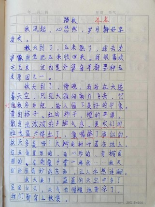 脚踏一方土 作文