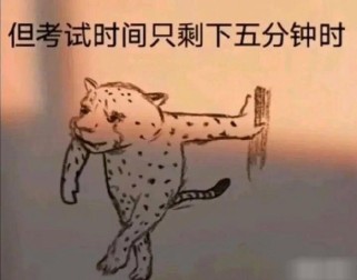 我的表情包里没有作文