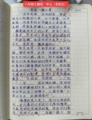 北师大六年级作文如何写好？