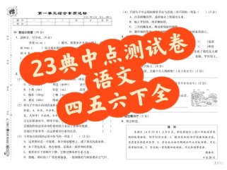 典中点七下语文重点难点解析？