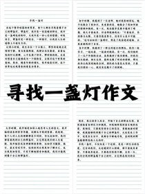 《寻找》满分作文