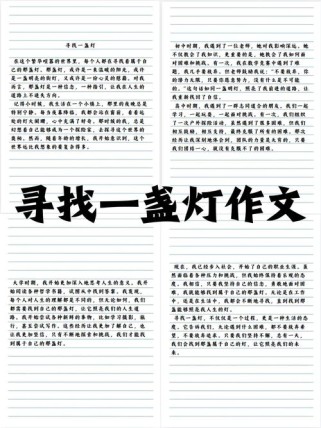 《寻找》满分作文