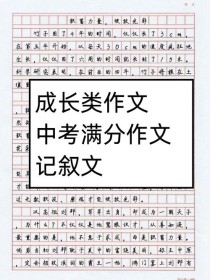 满分中考作文叙事