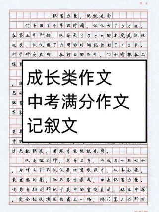 满分中考作文叙事