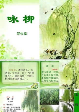 咏柳课件如何解读古诗意境与手法？