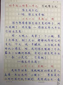 观察日记300字作文怎么写？