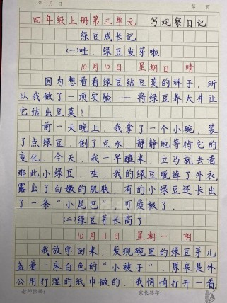 观察日记300字作文怎么写？