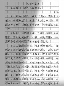 生命中的美好，究竟该如何发现？