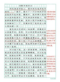 中考满分作文及点评