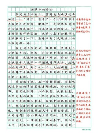 中考满分作文及点评