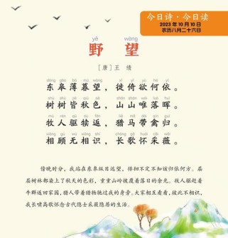 野望如何传递八年级学子共情？