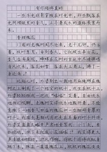 以陪伴为题写一篇作文