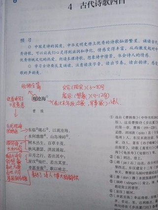 语文七年级上册第四课讲了什么？