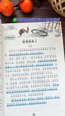 小学三年级语文课外阅读